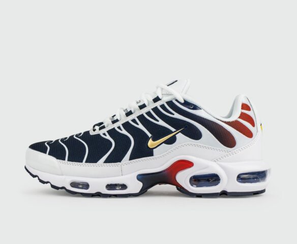Nike Air Max Plus Tn Blue Grey